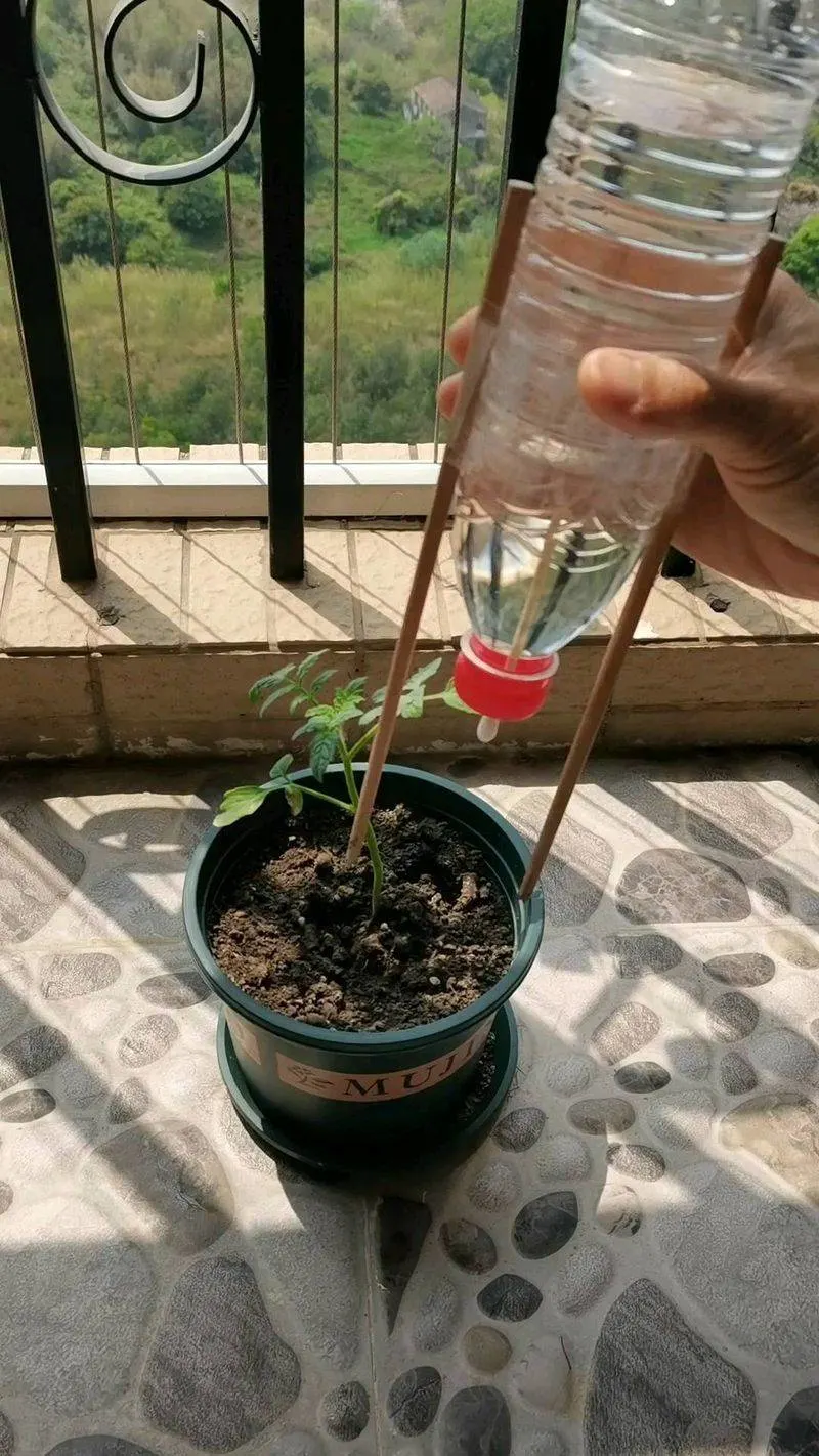 Plastic Water Bottles