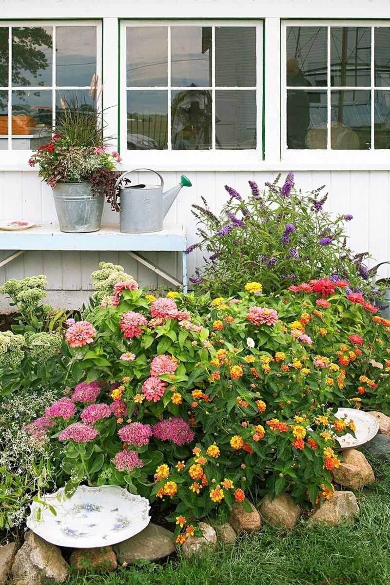 Pollinator House