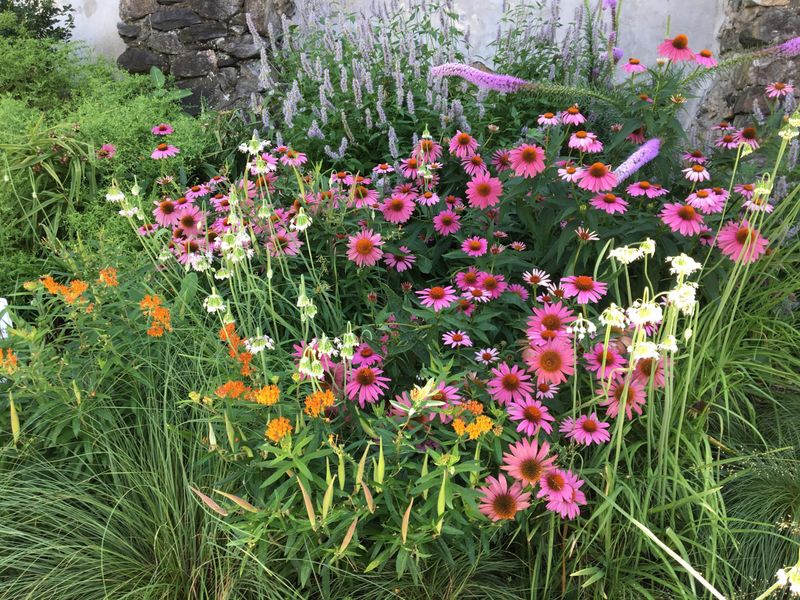 Pollinator Pathways