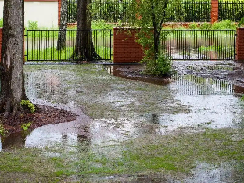 Poor Drainage