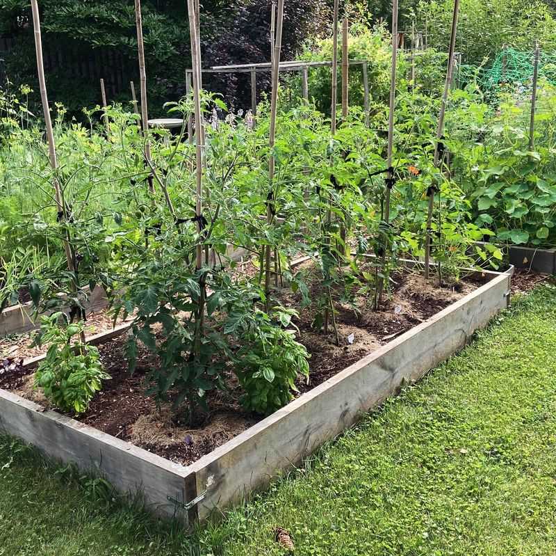 Poor Soil Quality