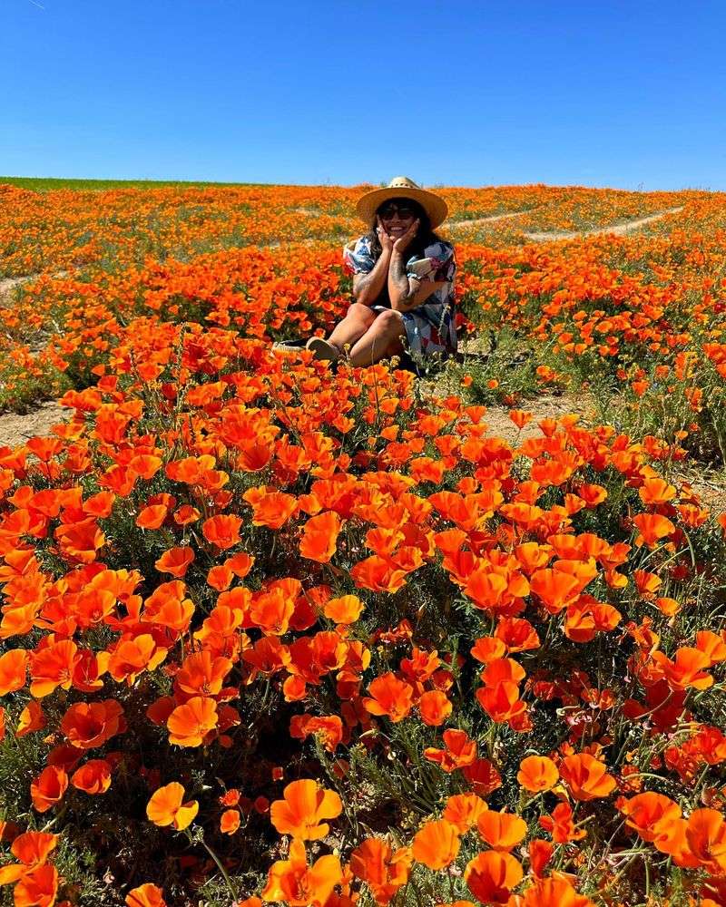 Poppy