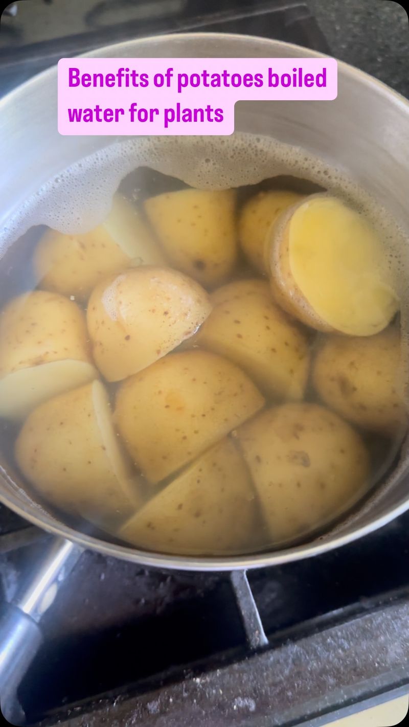 Potato Water