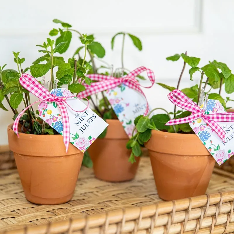 Potted Herb Favors
