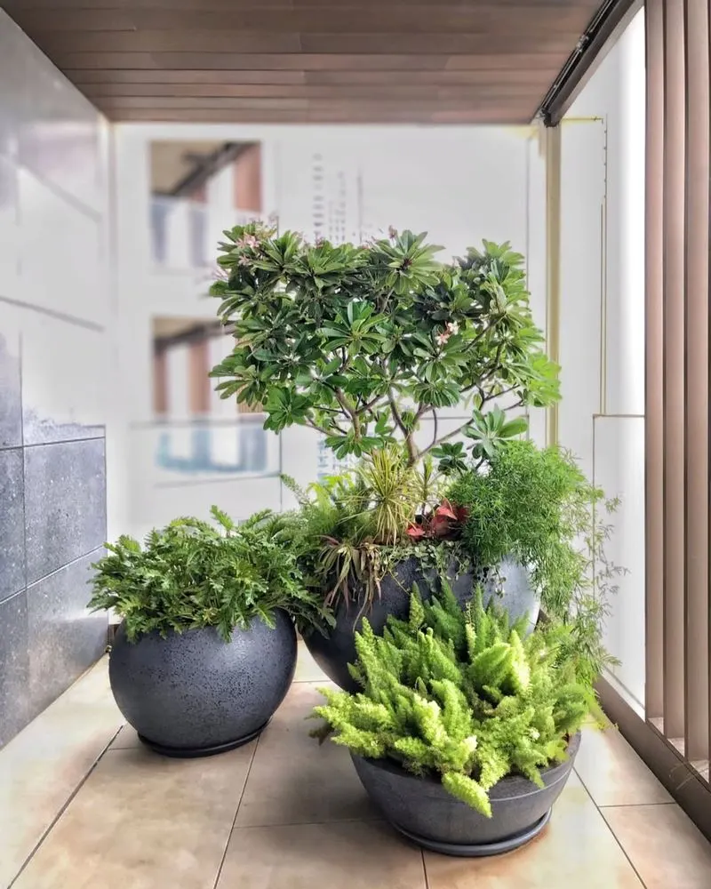 Potted Plant Clusters