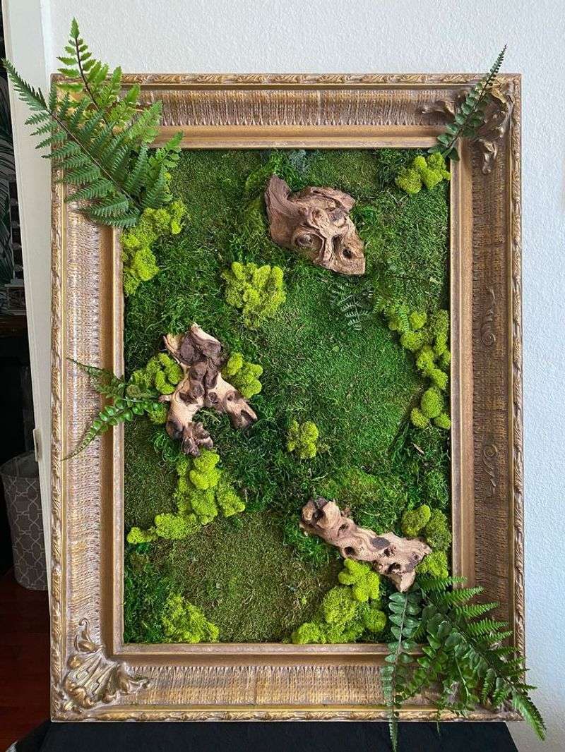 Preserved Plant Frames