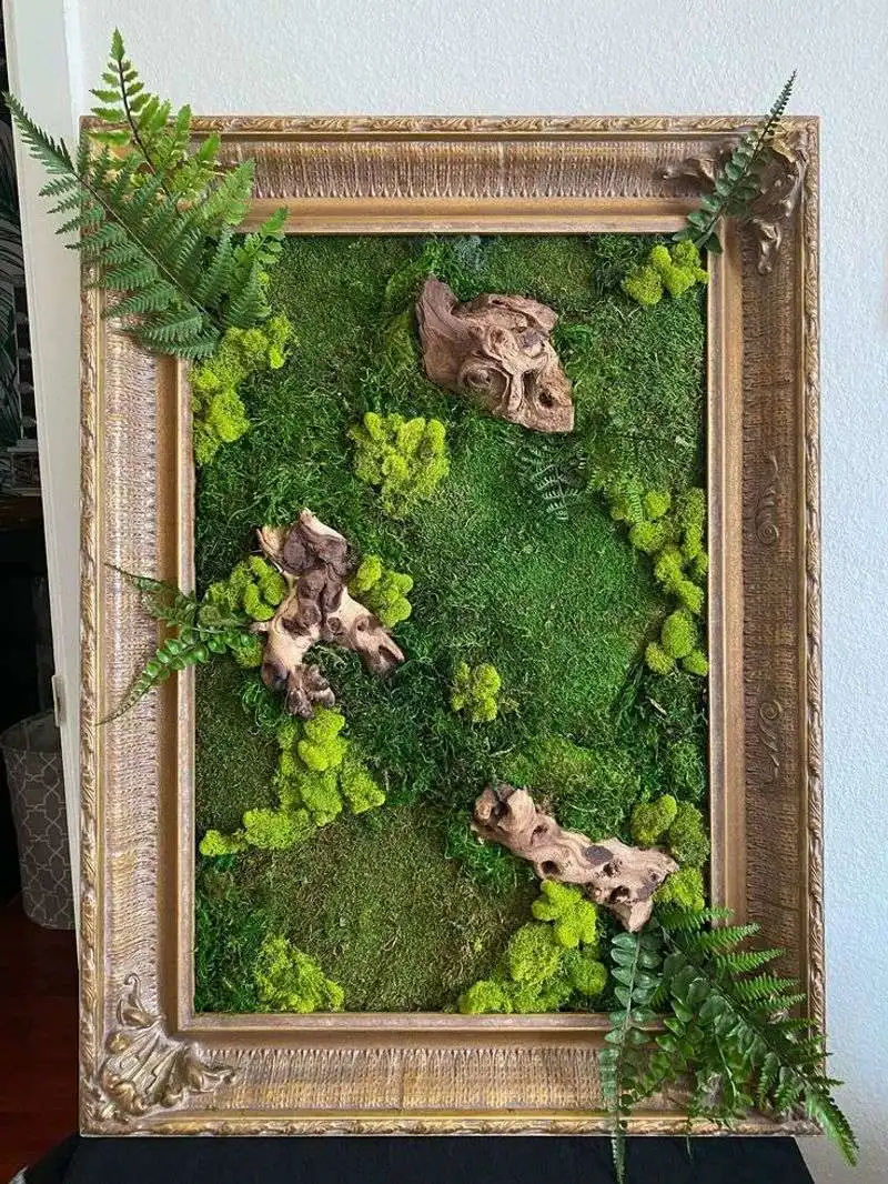Preserved Plant Frames