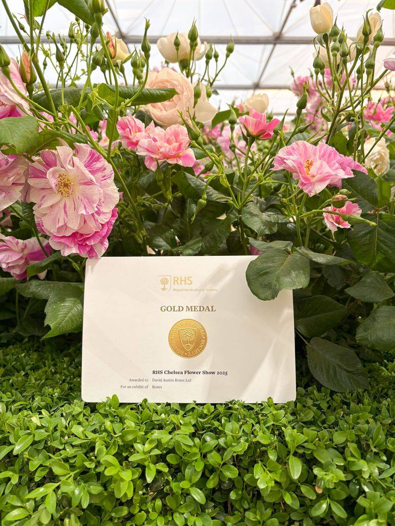 Prestigious Awards