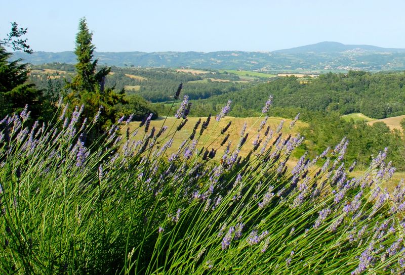 Provence, France