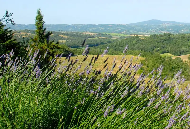 Provence, France