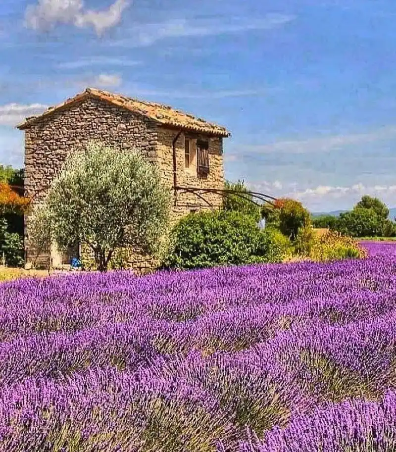 Provence, France