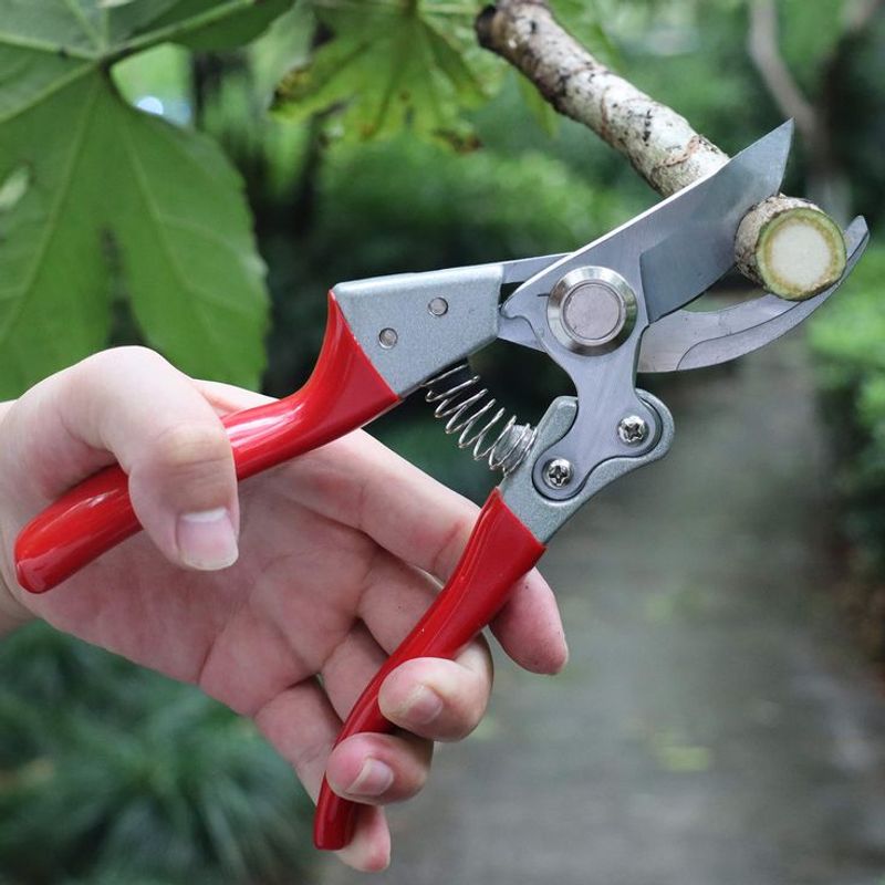 Pruning at the Wrong Time