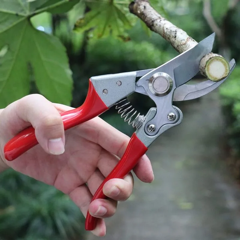 Pruning at the Wrong Time