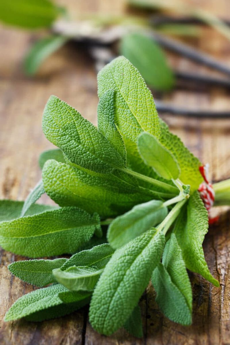 Sage