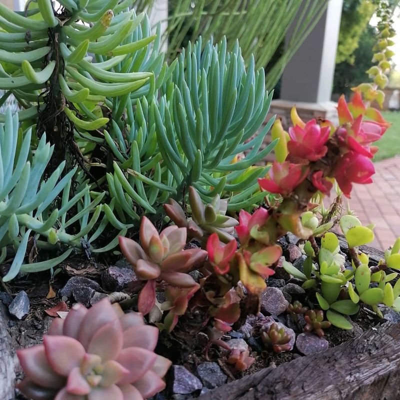 Railway Gardens