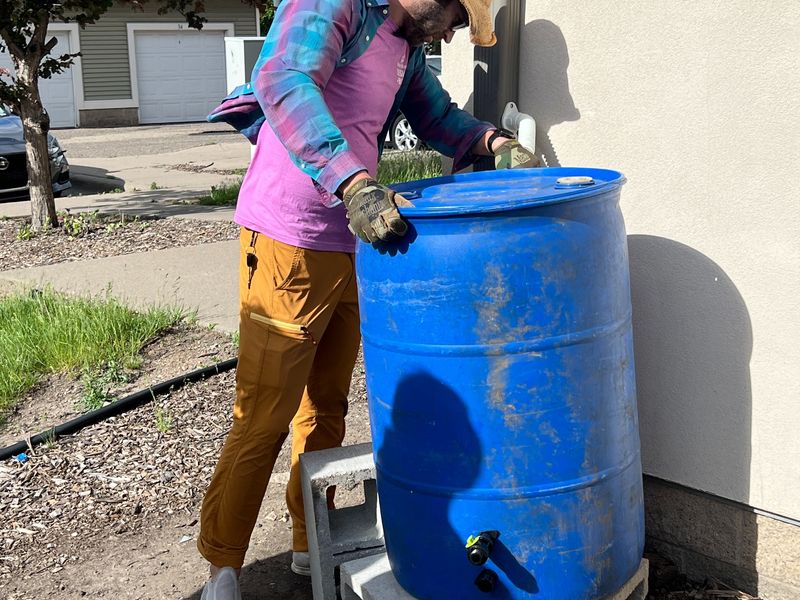 Rain Barrels