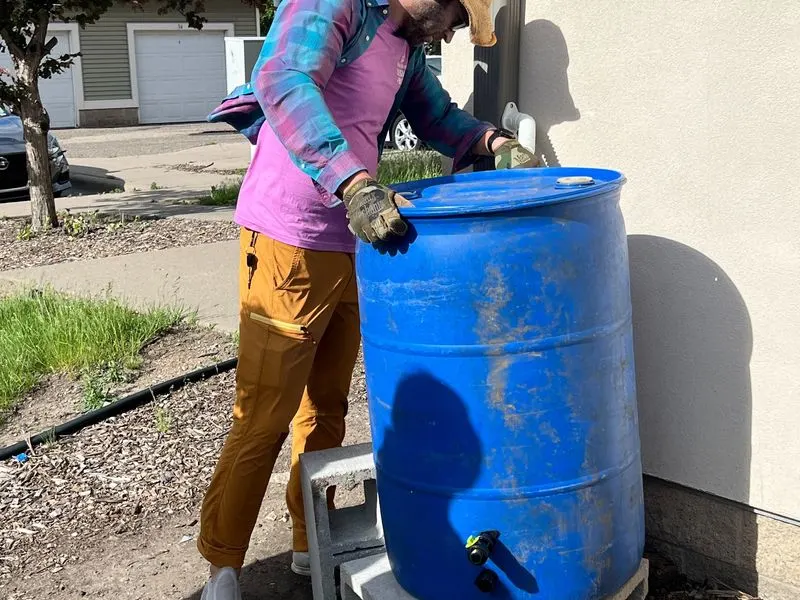 Rain Barrels