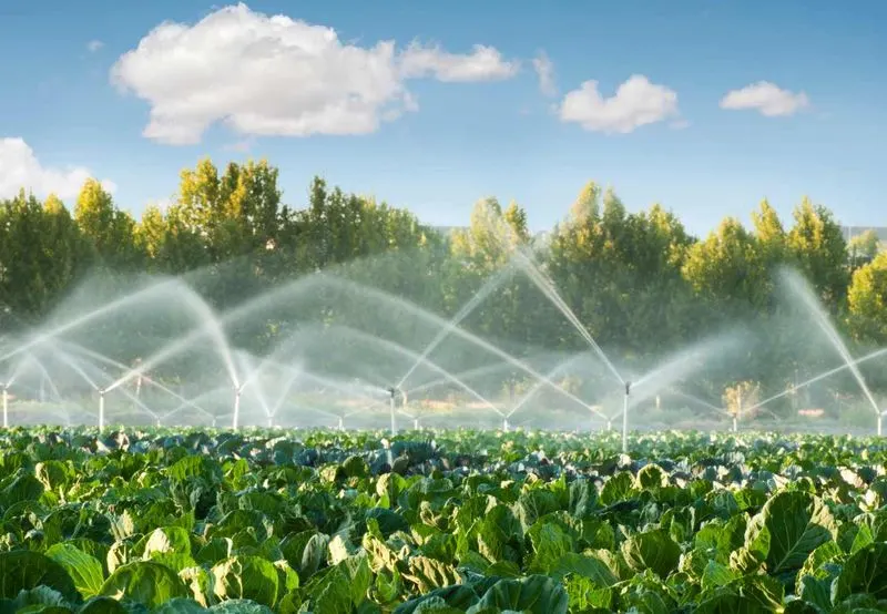 Smart Irrigation Controllers
