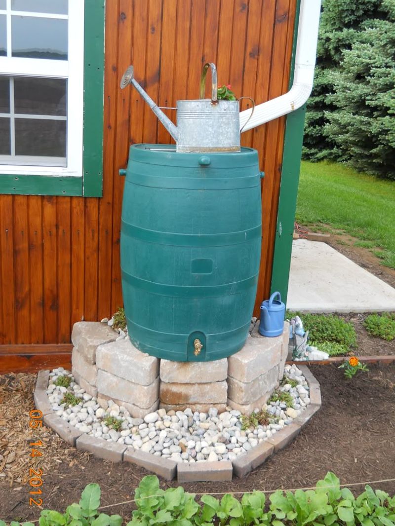 Rain Barrels