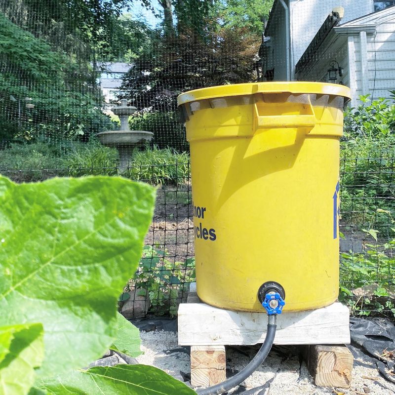 Rain Barrels