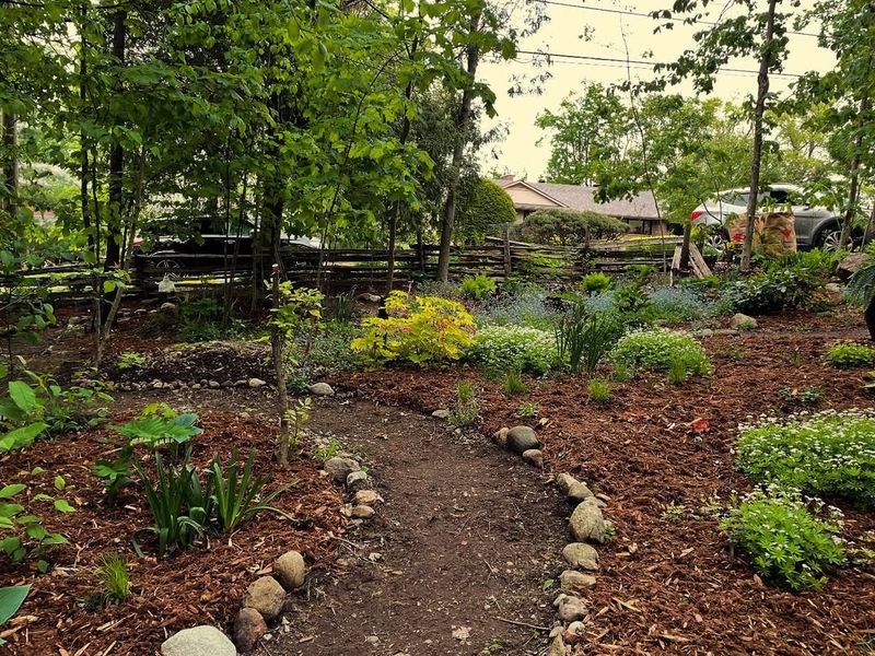 Rain Garden Sanctuary