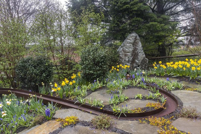 Rain Garden