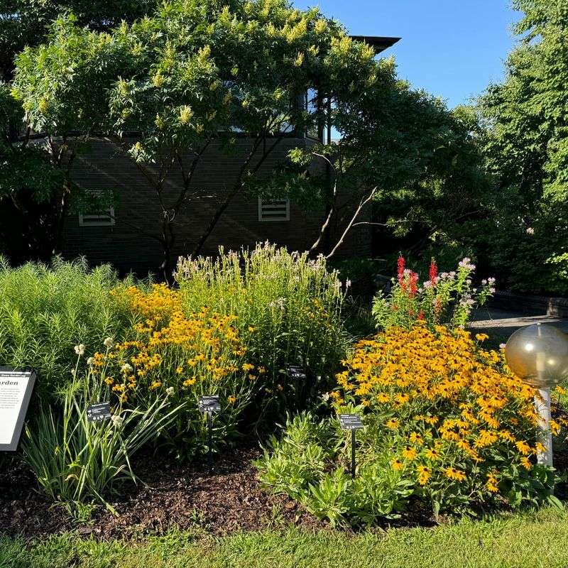Rain Gardens