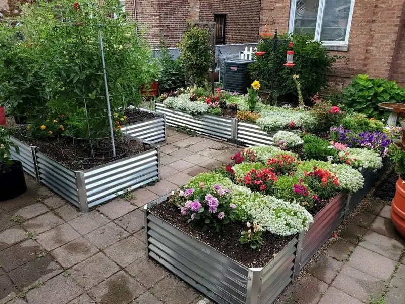 Raised Garden Beds