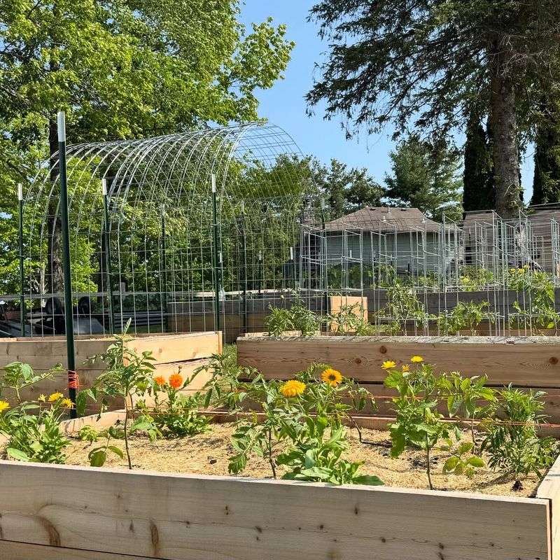 Raised Garden Beds