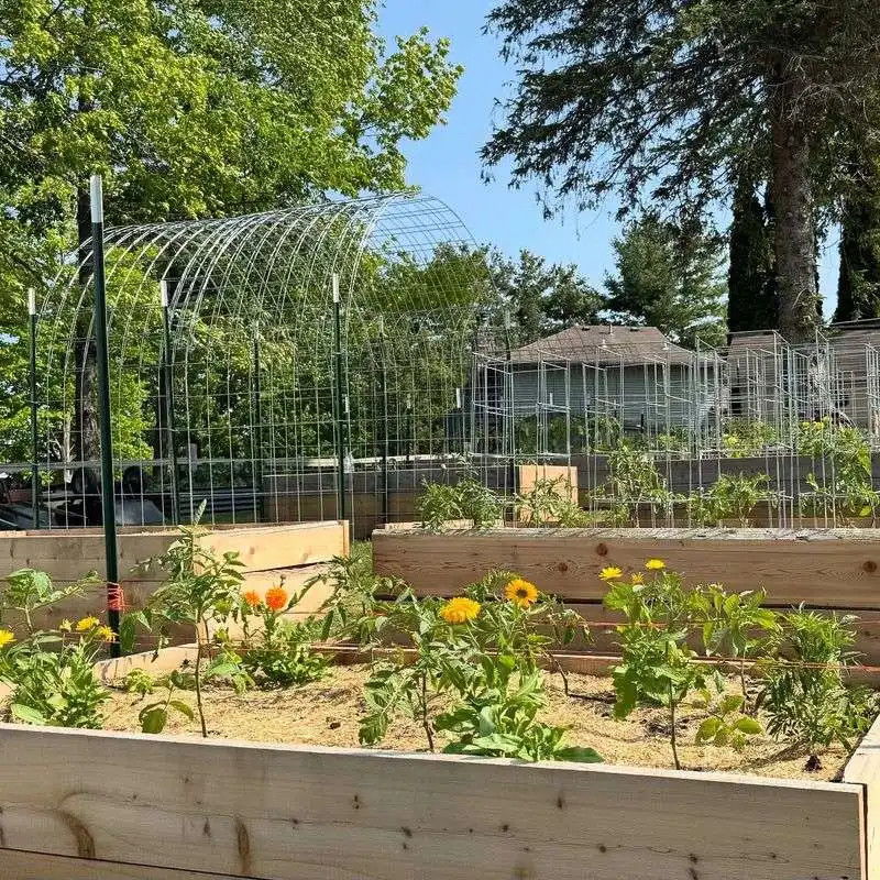 Raised Garden Beds