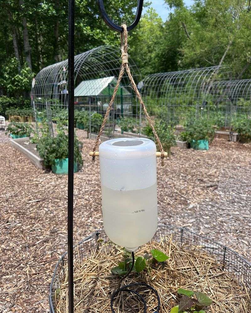 Recycled Bottle Drip Irrigation