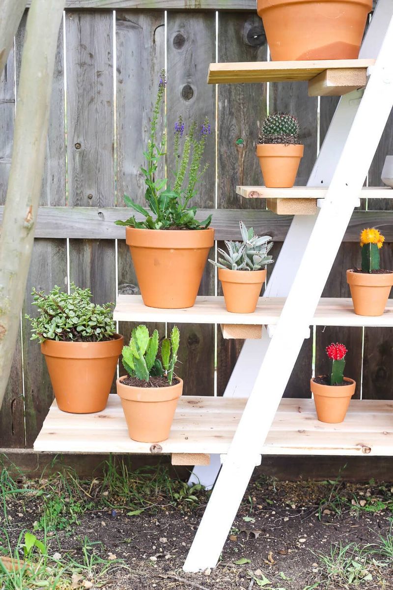 Recycled Ladder Shelf Garden