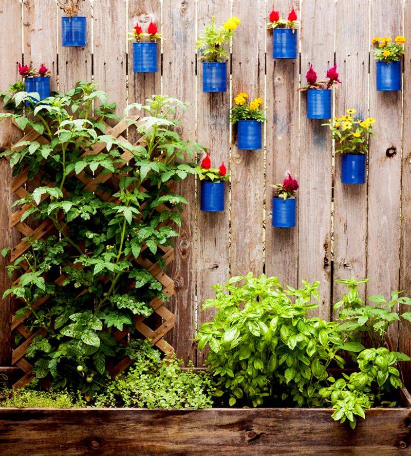 Recycled Tin Can Alley