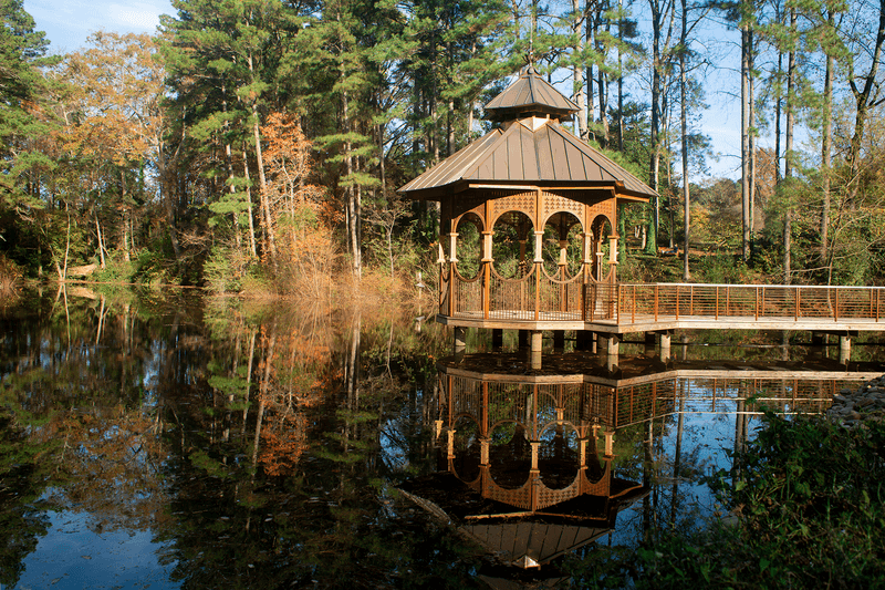 Reflection Pond