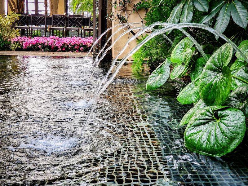 Reflective Water Features