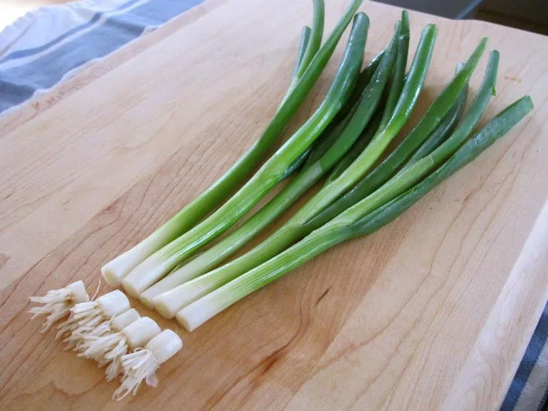 Regrowing Green Onions