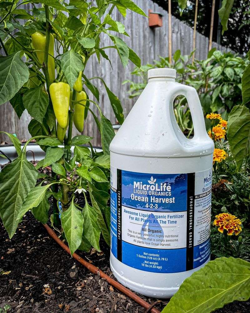 Relying Solely on Fertilizers