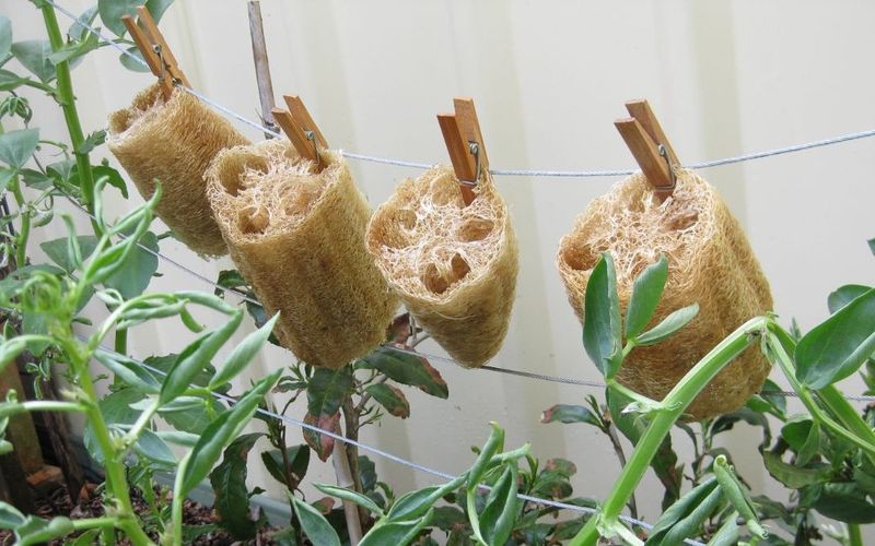 Repurpose Old Sponges