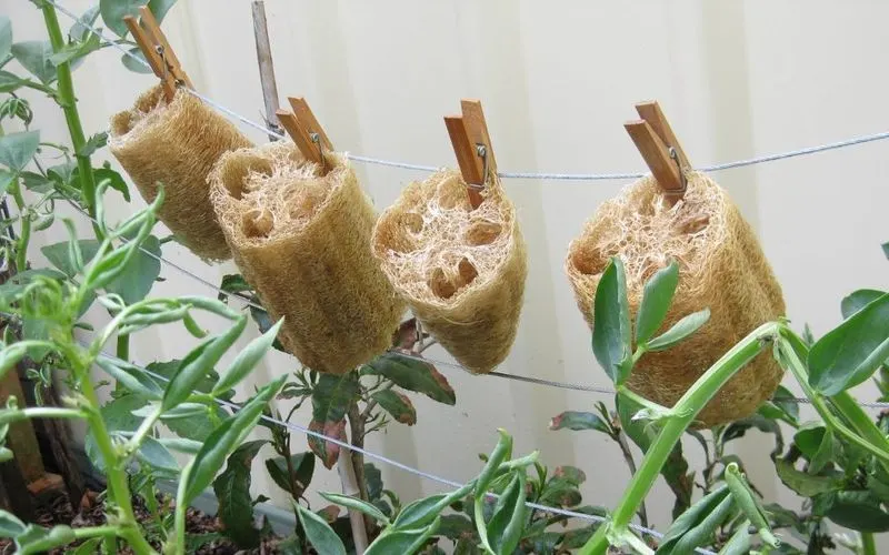 Repurpose Old Sponges