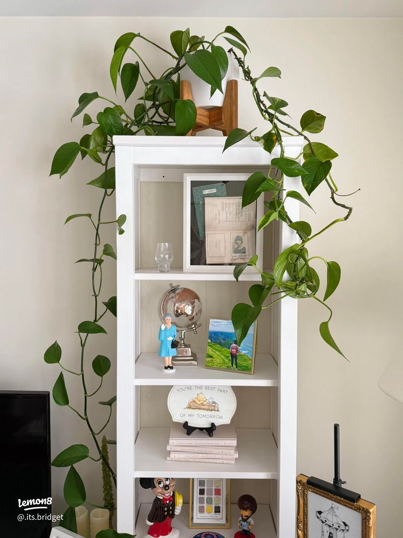 Repurposed Bookshelf Garden