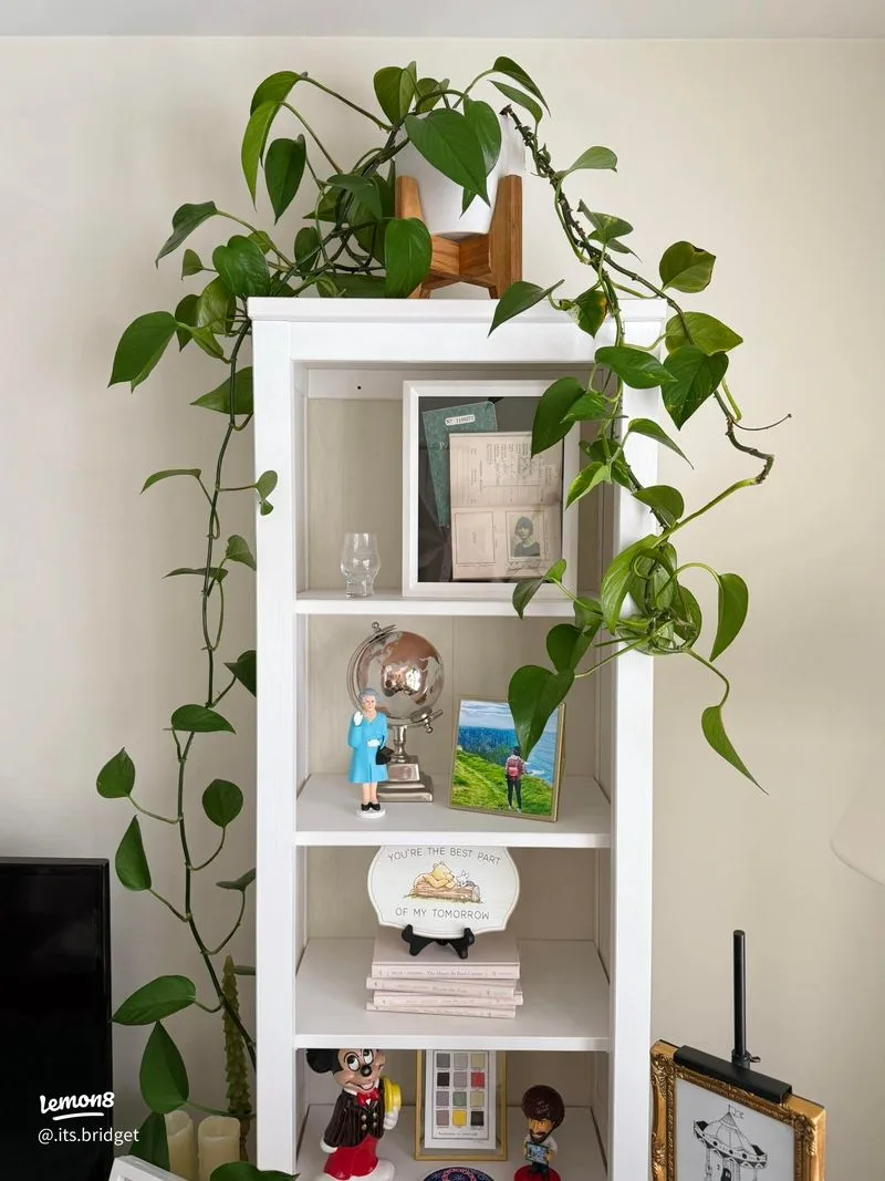 Repurposed Bookshelf Garden