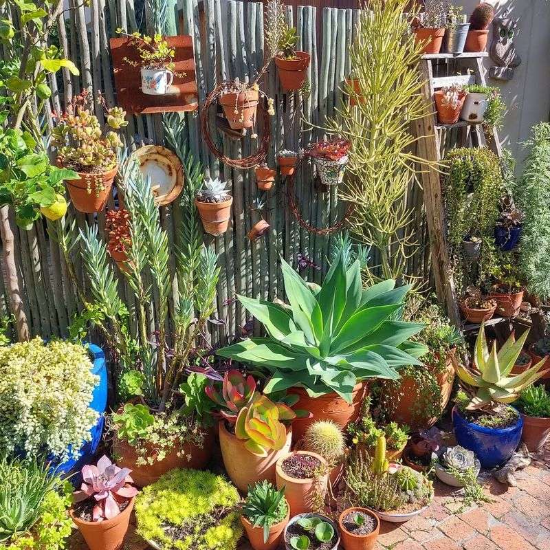 Repurposed Plant Containers