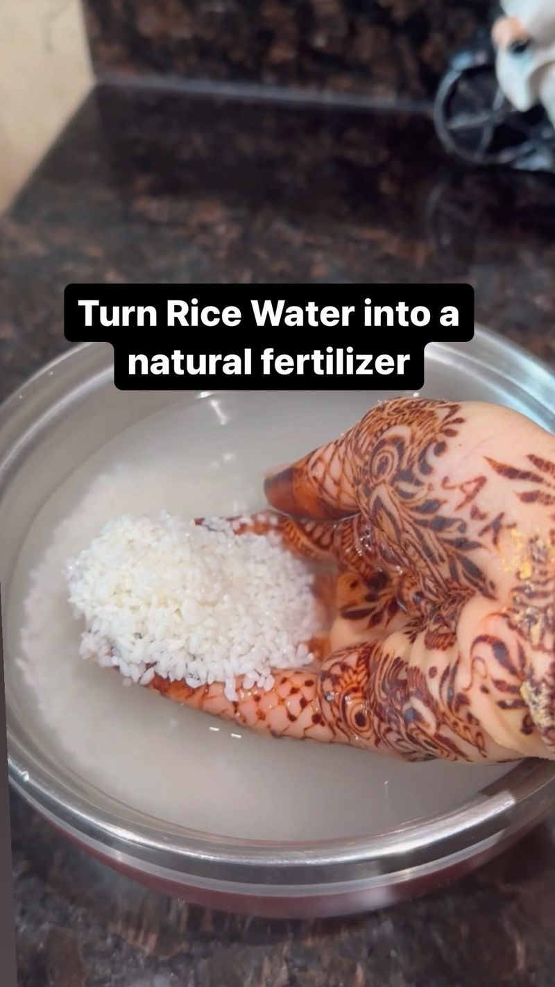 Rice Water