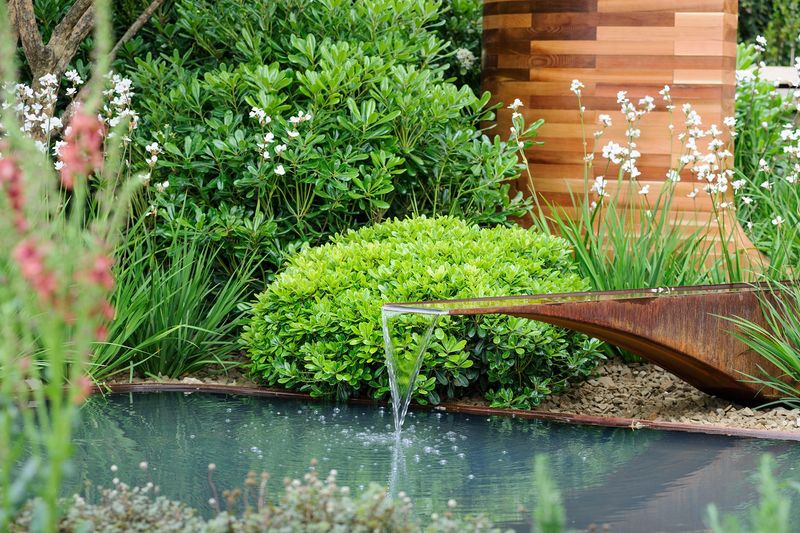 Water Feature Garden