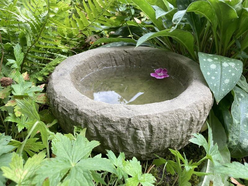 Rocky Birdbath