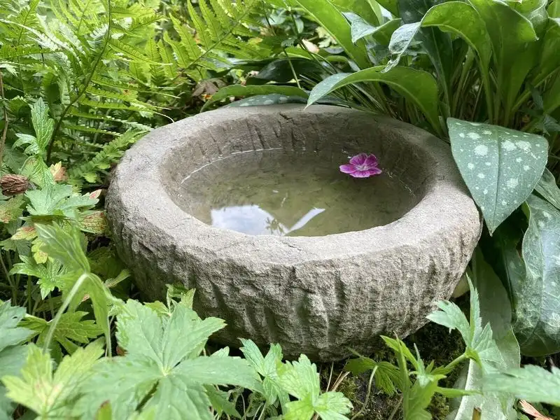 Rocky Birdbath