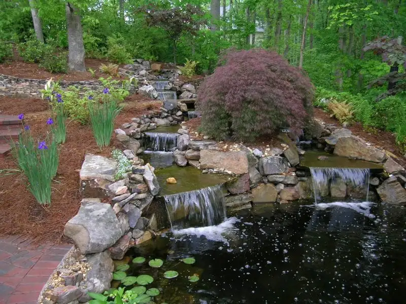 Rock Garden with Waterfall