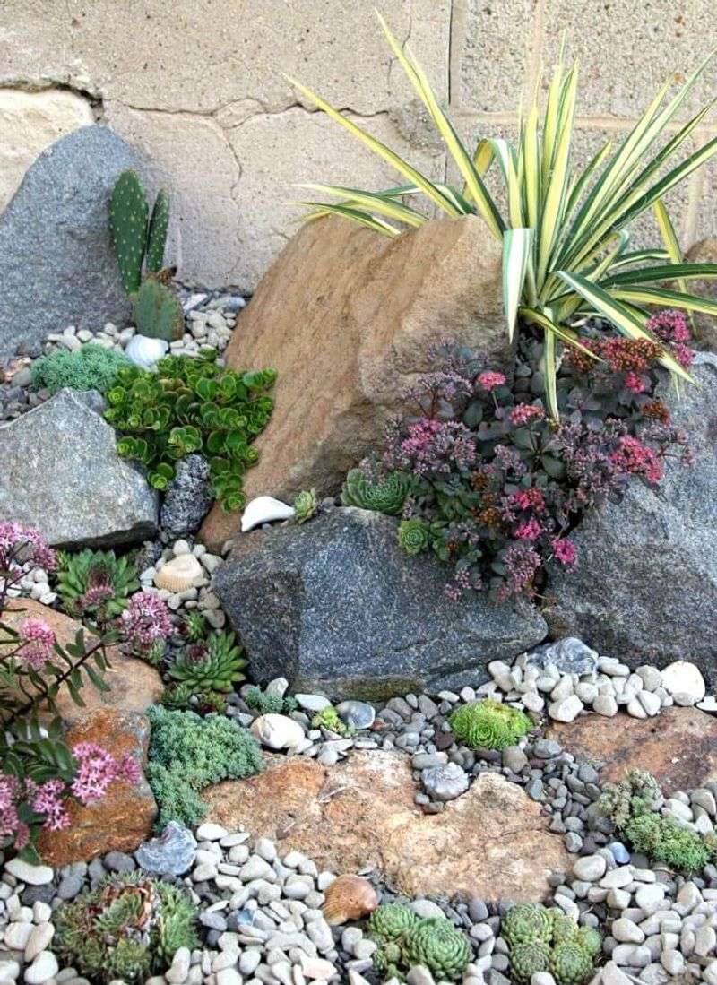 Rocky Succulent Garden