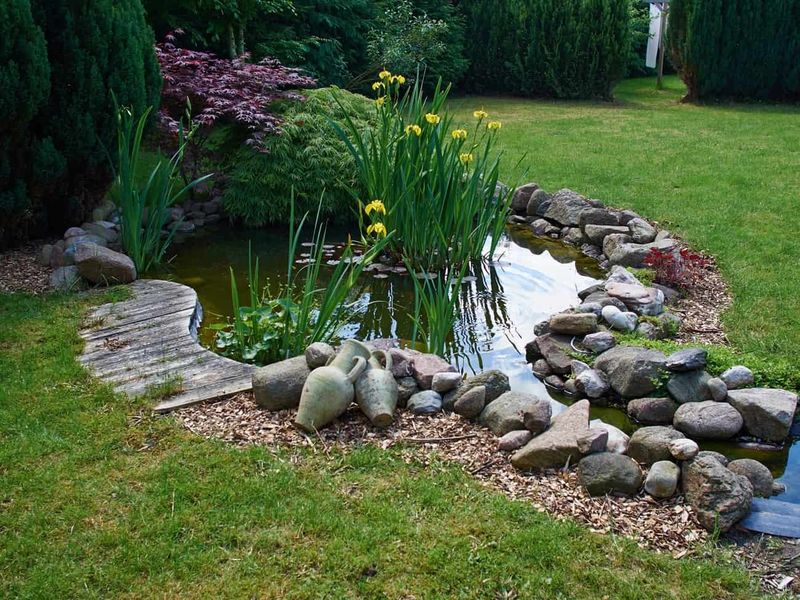Rocky Pond Edging