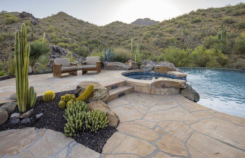Desert Oasis Design